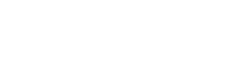 Contemporary Concepts